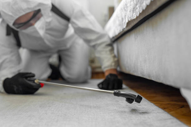 Professional Bed Bug Control technician working in Mescal, AZ